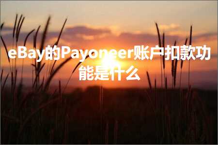 网站优化与推广 跨境电商知识:eBay的Payoneer账户扣款功能是什么